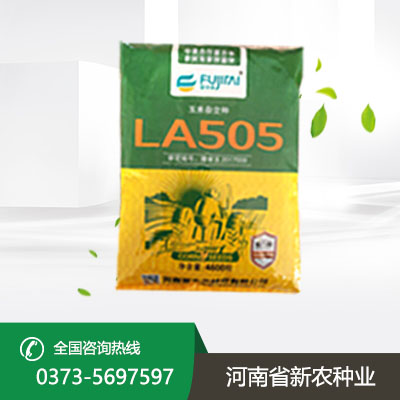 安徽LA505玉米种子