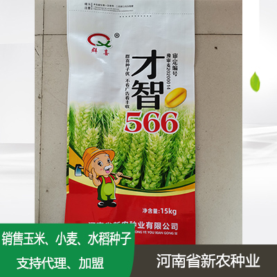 安徽小麦种子加盟