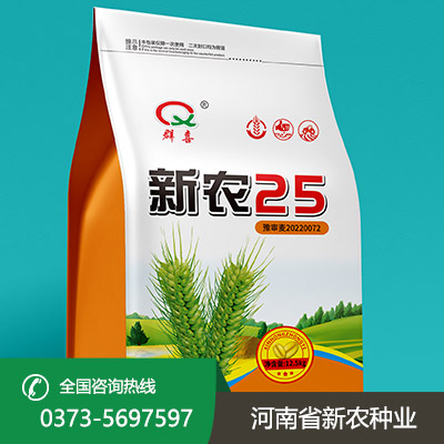 安徽大量批发小麦种子